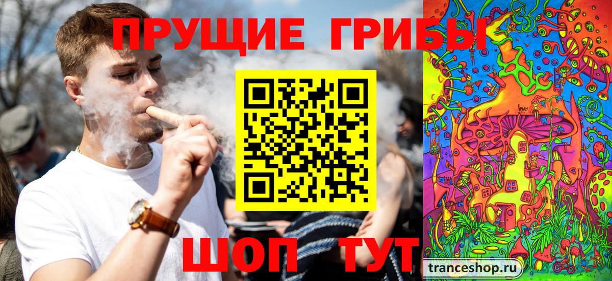 Нефтеюганск  Псилоцибиновые грибы GOLDEN TEACHER  Вход с VPN  Псилоцибиновые грибы Psilocybe 
